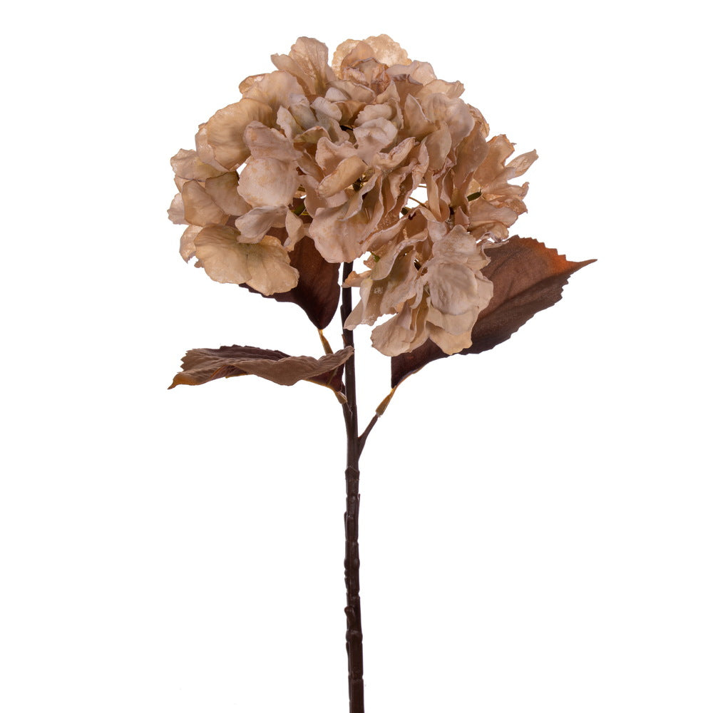 Dry Hydrangea Flower - Beige, Ccdhfb1576