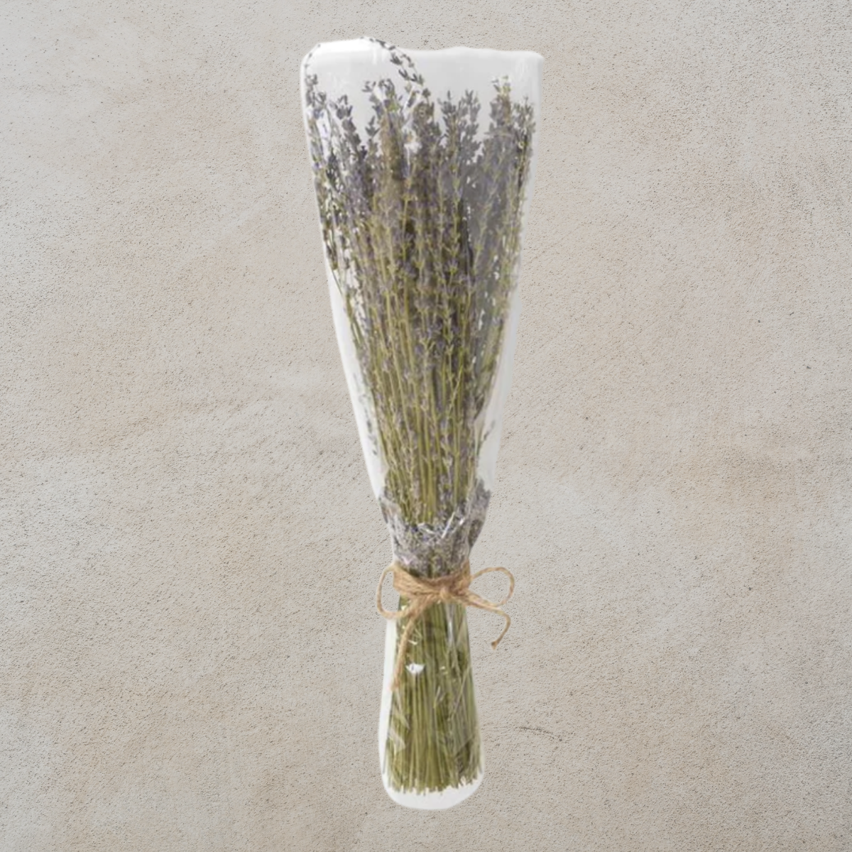 Dried Natural Lavender Bundle – Chic Artique