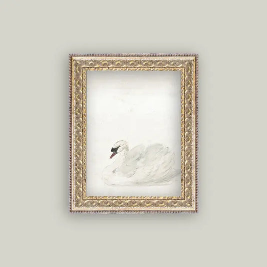 Swan Framed Antique Art