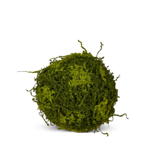 Moss Ball