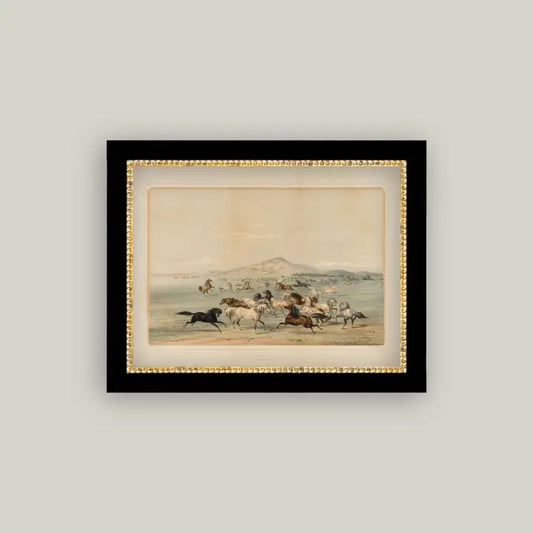 Field of Horses Framed Print