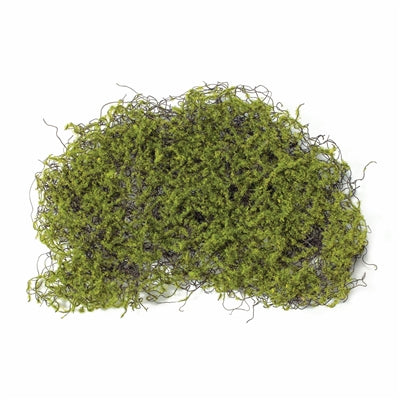 Moss Pad