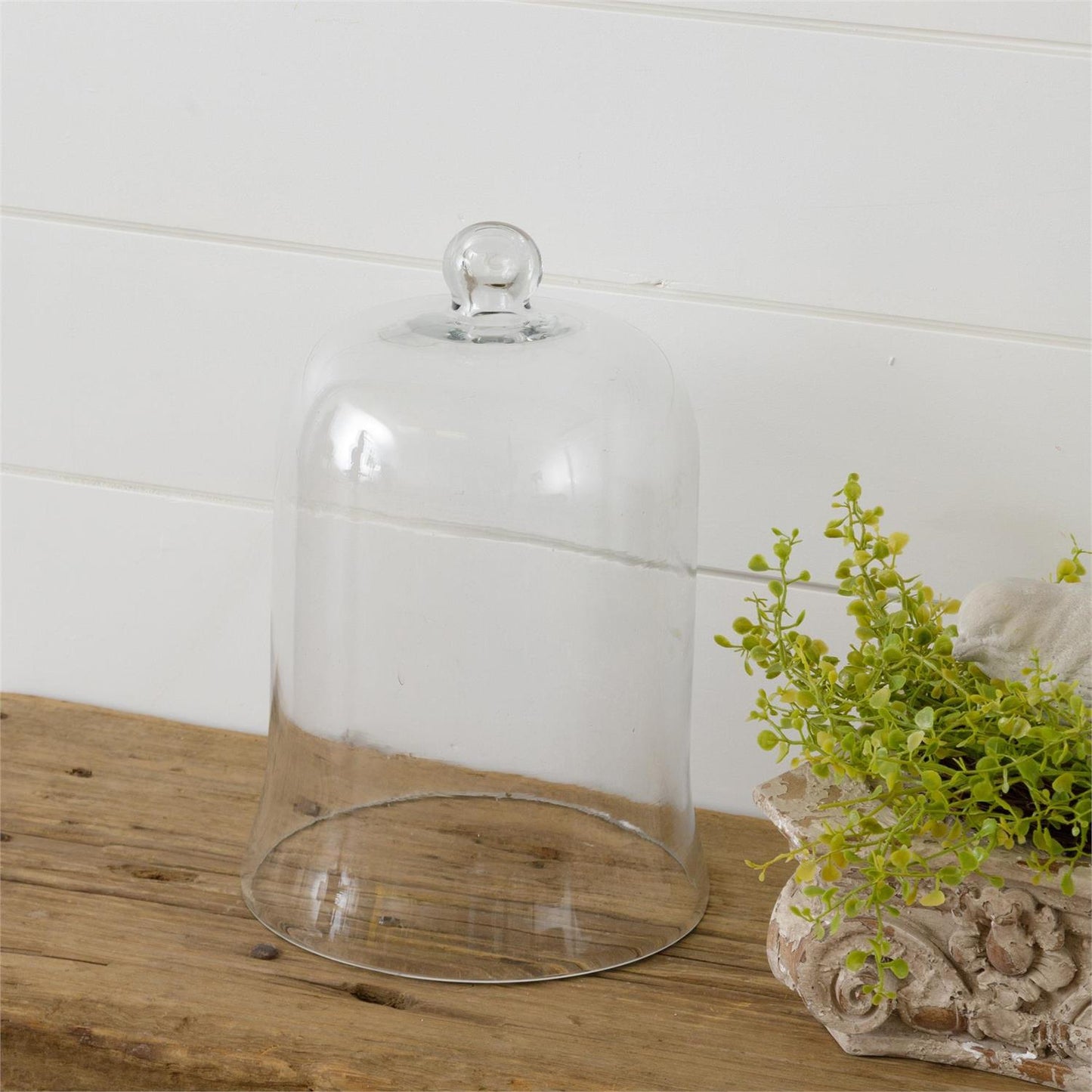 Large Glass Cloche