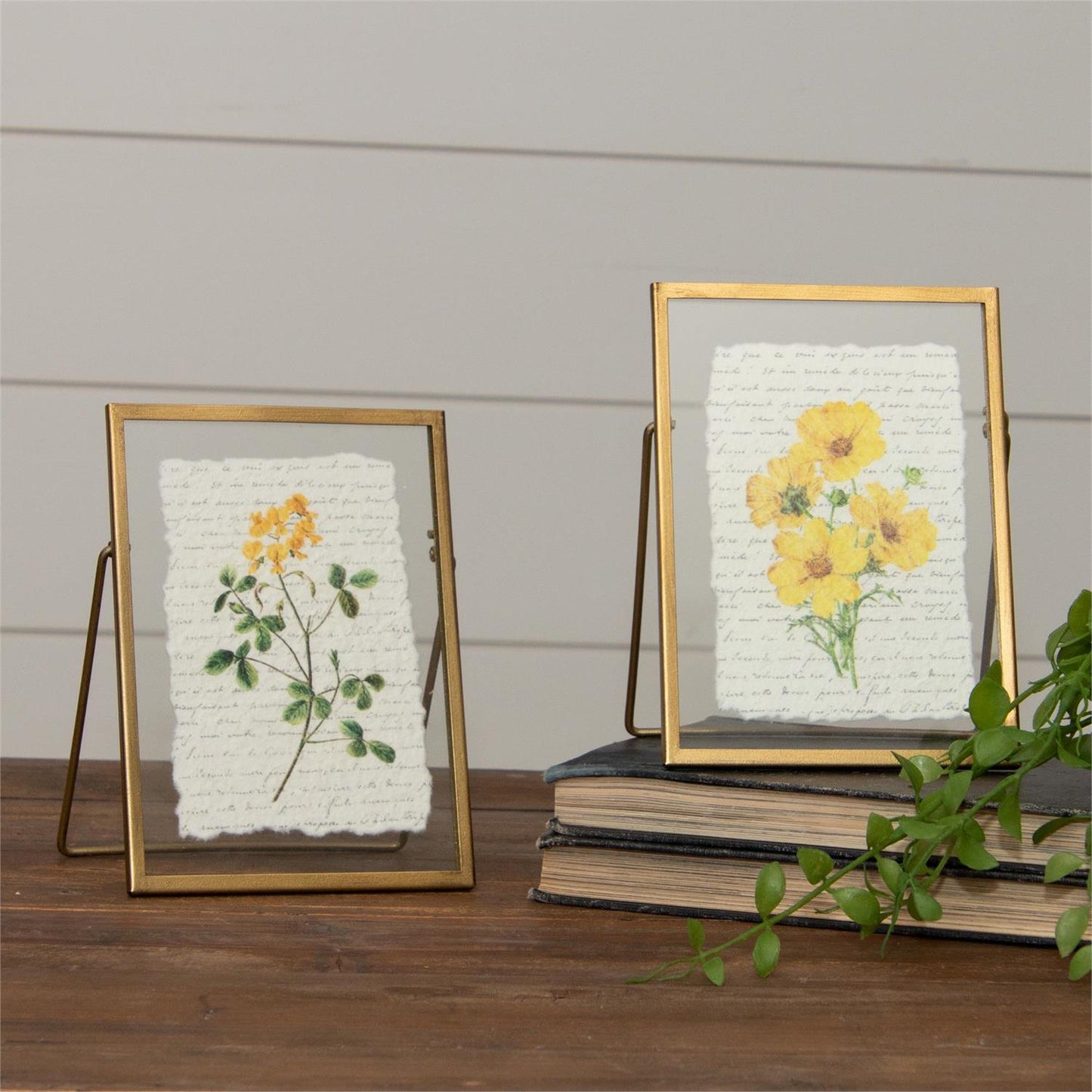 Gold Framed Yellow Flower