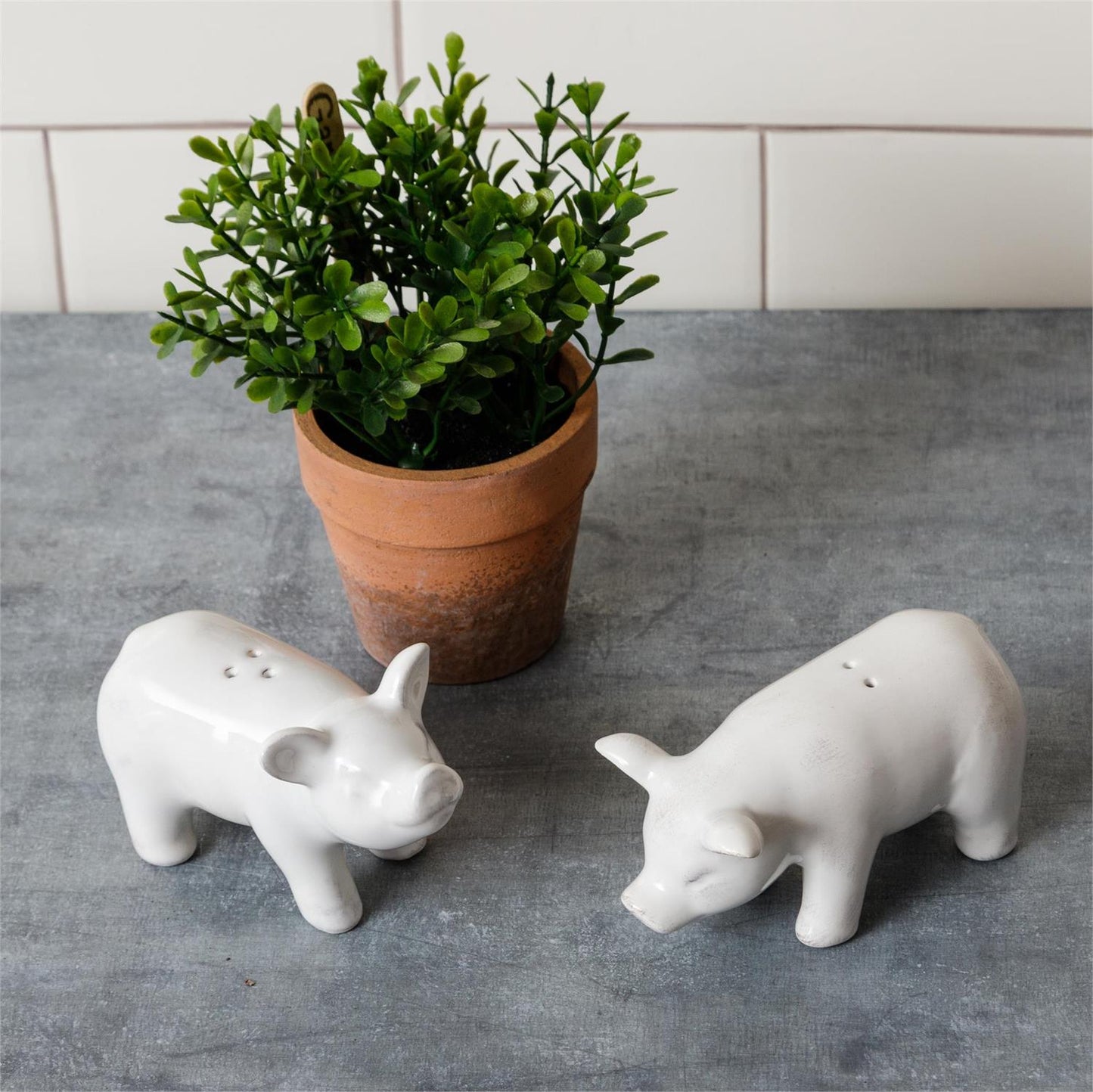 Pig Salt & Pepper Shakers