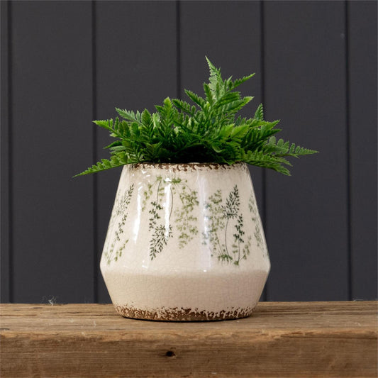 Fern Pot