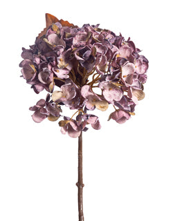 Plum Hydrangea Stem