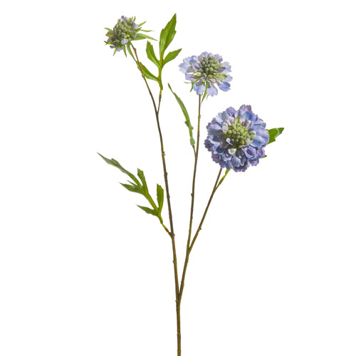 Purple Scabiosa Spray