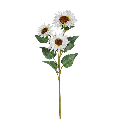 White Italian Sunflower Spray