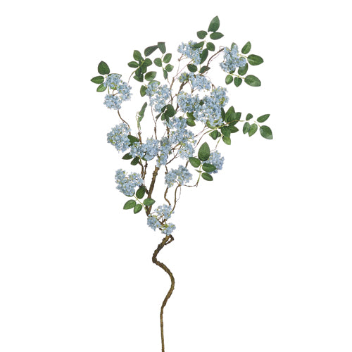 Blue Blossom Branch