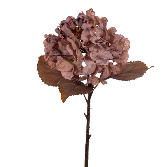 Mauve Dried Hydrangea