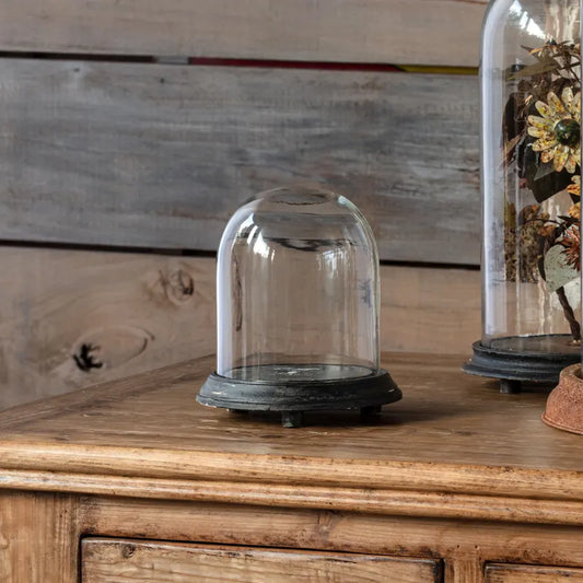 Small Display Dome with Weathered Base