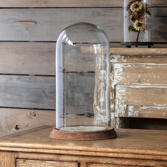 Estate Glass Display Dome with Weathered Base