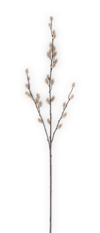 33 INCH TAN PUSSY WILLOW STEM