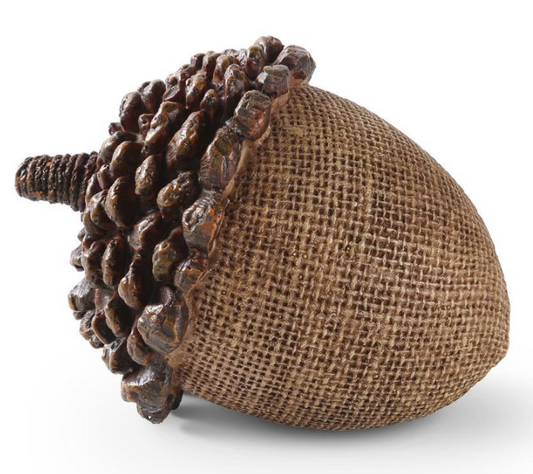 Brown Acorn