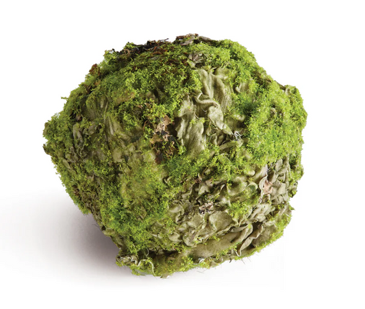 Mossy Lichen Orb