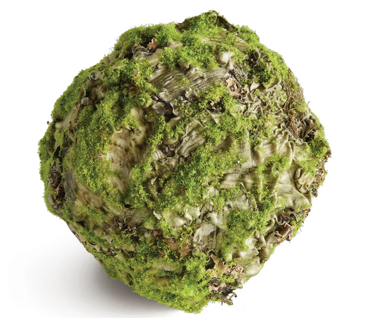 Mossy Lichen Orb