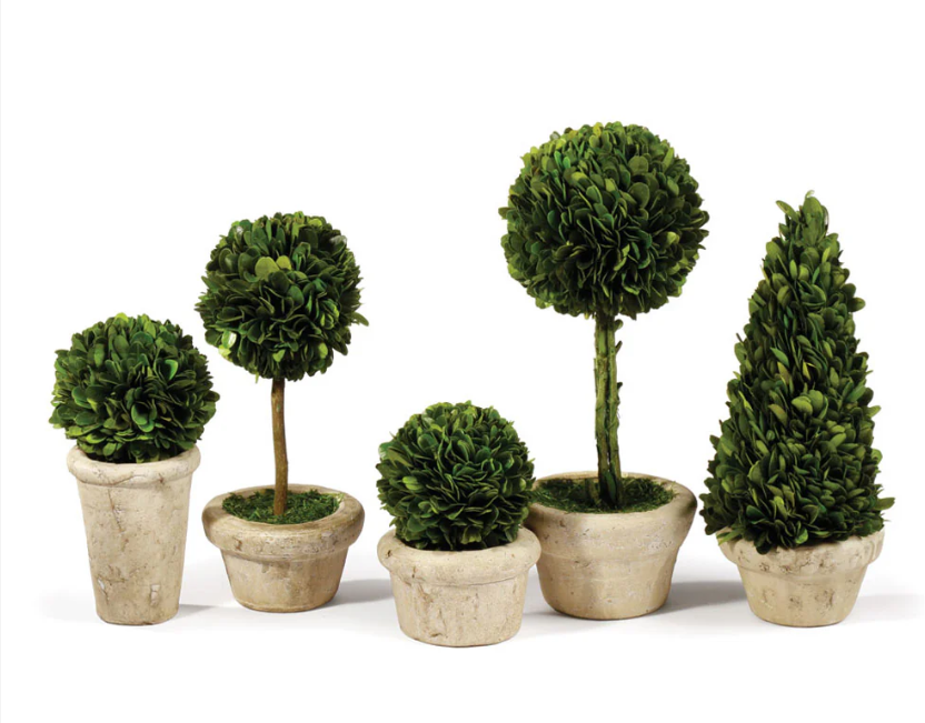 Topiaries Potted