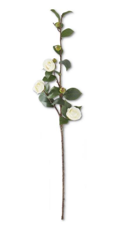 White Camellia Stem