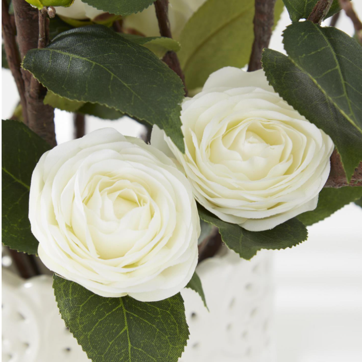 White Camellia Stem