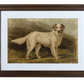 Heritage Hounds Framed Dog Wall