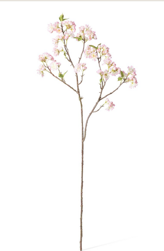 Cherry Blossom Branch