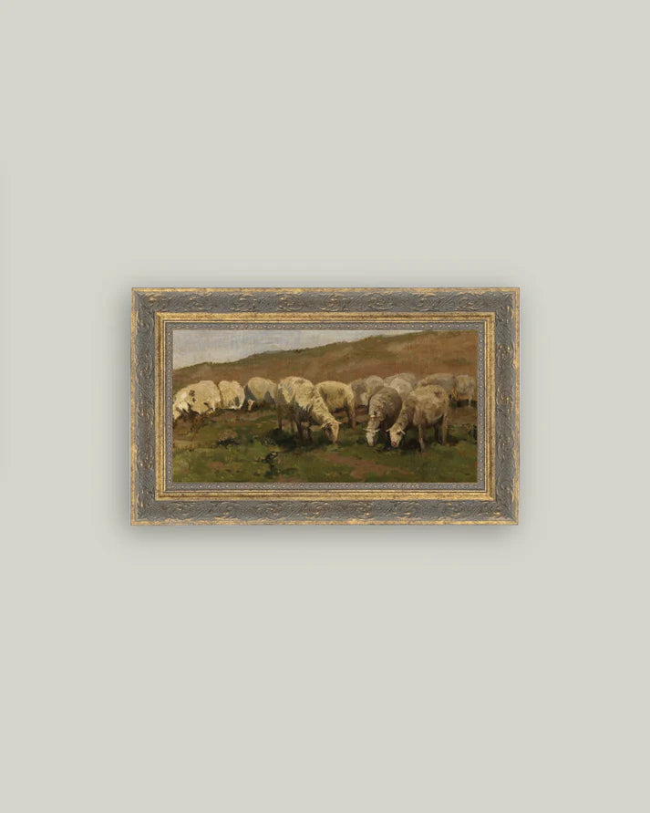 Sheep Landscape Framed Art