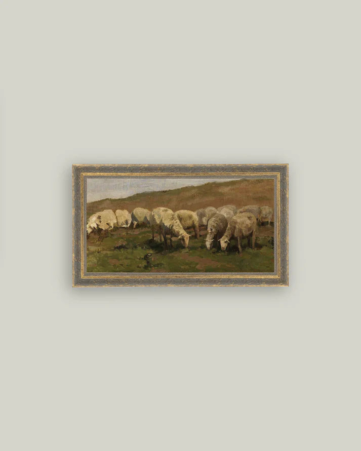 Sheep Landscape Framed Art