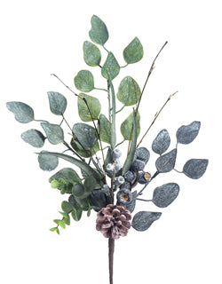 Mix Eucalyptus Pick