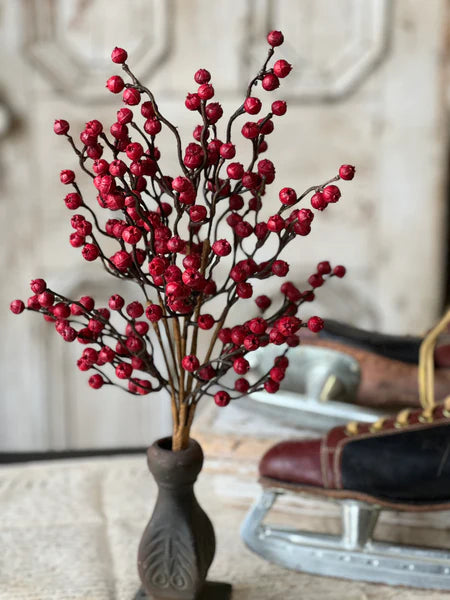 Hearth Berry Bush