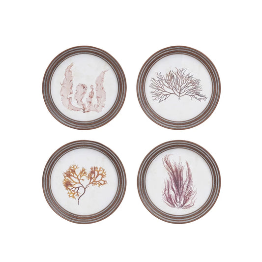 Framed Round Botanical Prints