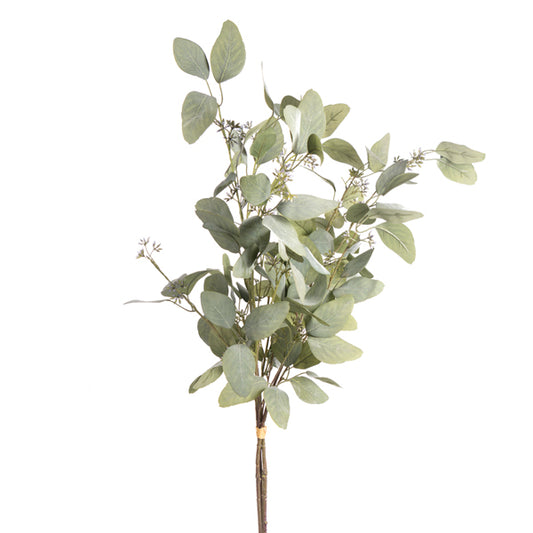 Eucalyptus Bundle