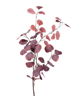 Burgundy Eucalyptus Spray