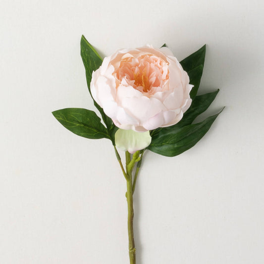 Blush Pink Peony Spray