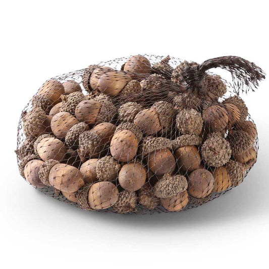 Cream Wood Acorns