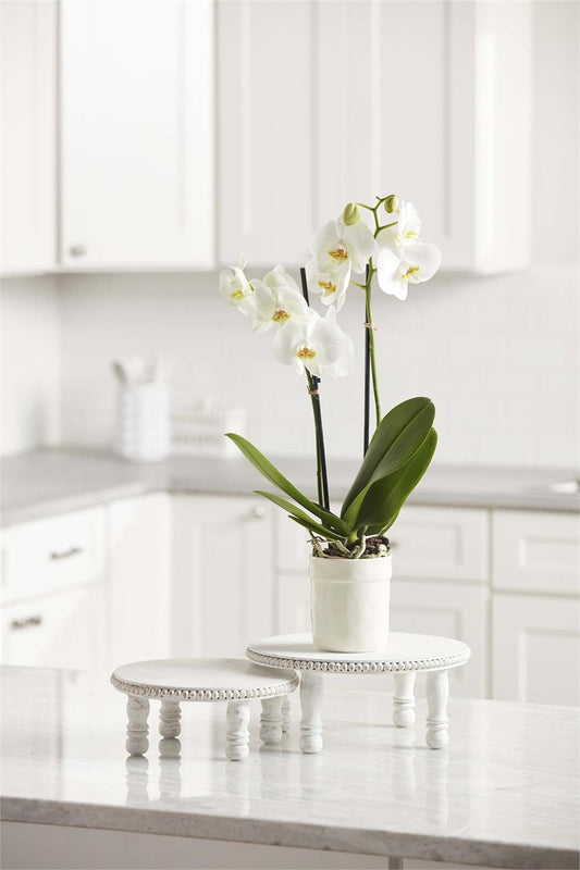 White Beaded Pedestal