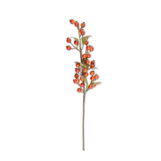 Orange Rosehip Stem