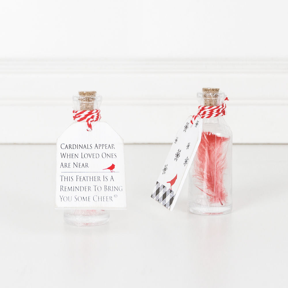 Cardinal Feather in a Bottle