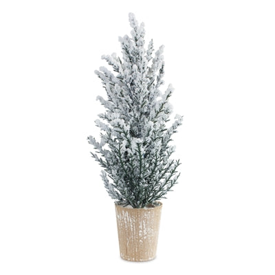 Potted Snowy Pine Tree