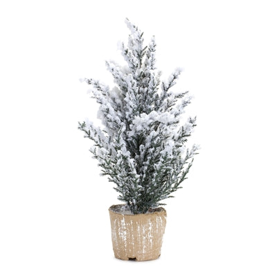 Small Potted Snowy Pine Tree