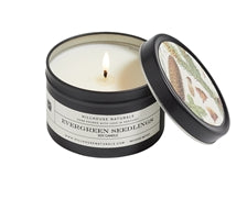 Evergreen Seedlings Candle