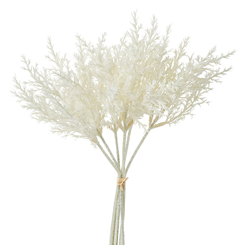 Pampas Grass Bundle