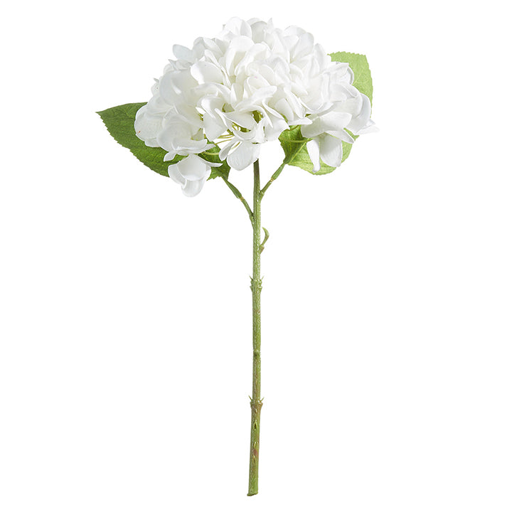 White Hydrangea Stem