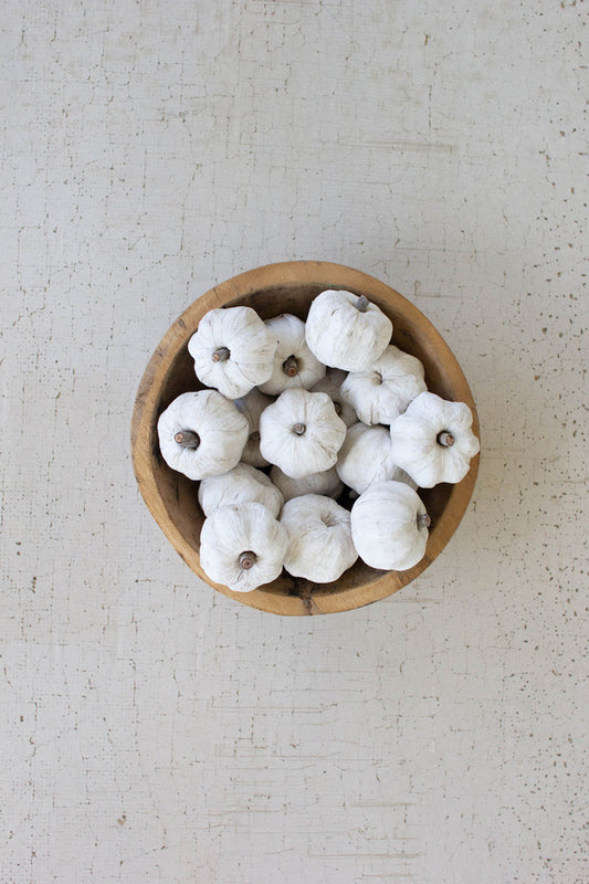 Bag of Dried Mini Pumpkins