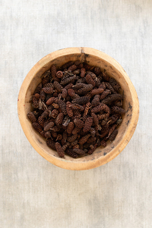 Bag of Birch Pine Cones