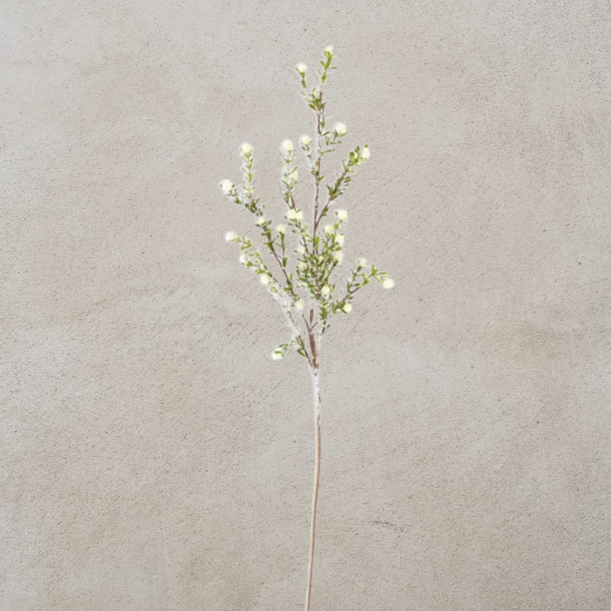 Glittered Snowy White Leaf Stem