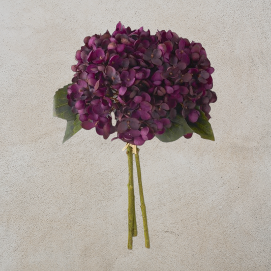 Purple Hydrangea Bundle