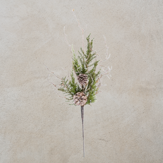 Juniper Stem