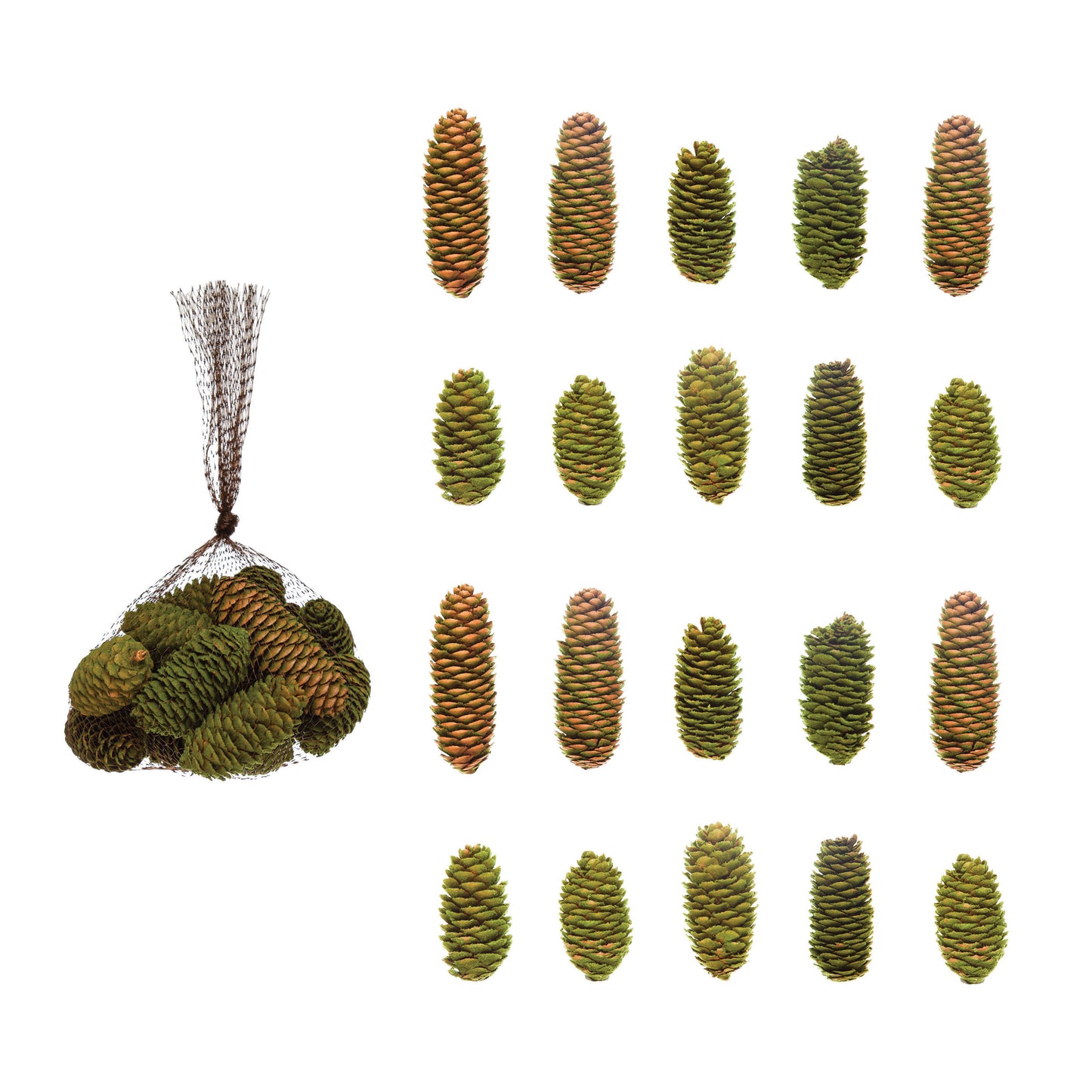 Flocked Dried Pinecones