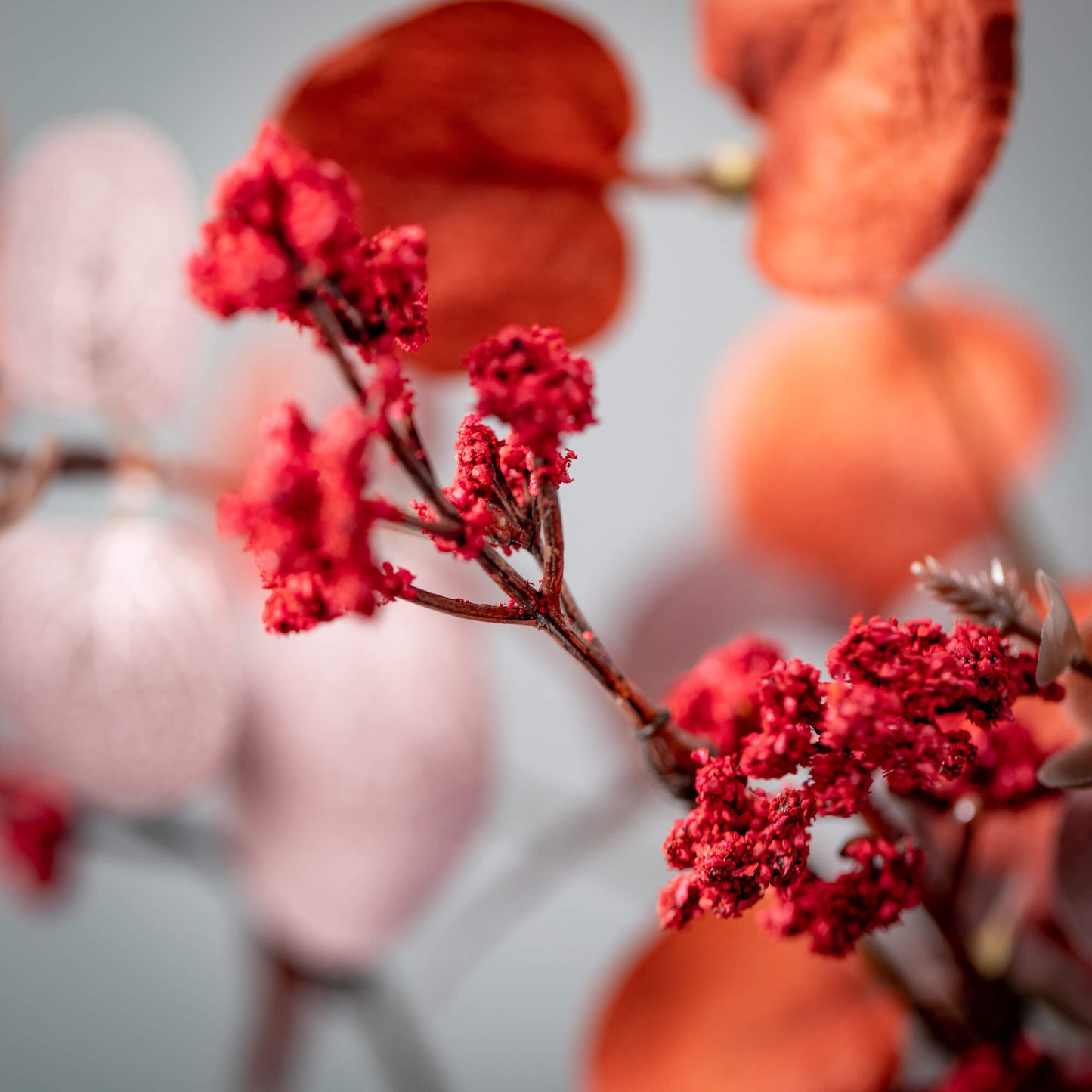 Red Eucalyptus Berry Candle Ring